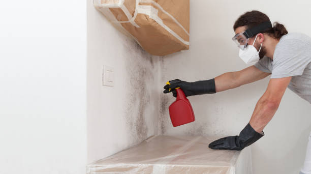 Professional Basement Mold Remediation technician working in Portland, TX