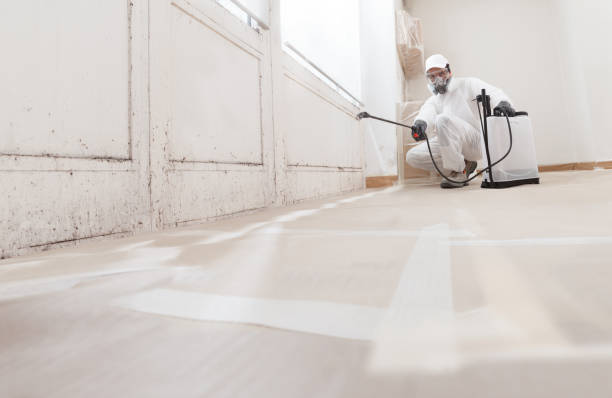 24/7 Emergency Basement Mold Remediation experts in Portland, TX