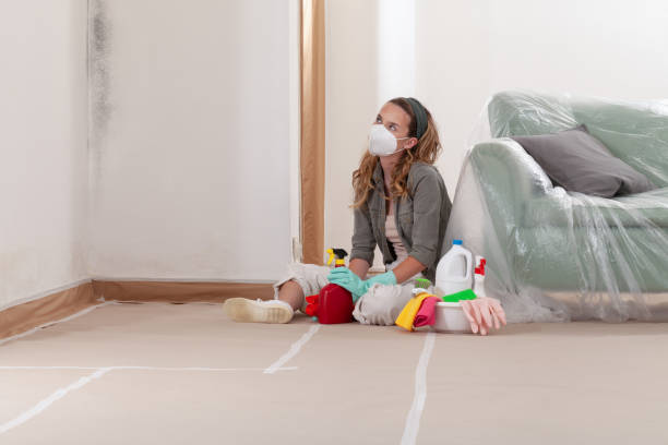 Reliable Basement Mold Remediation contractor in Portland, TX by Mold Remediation HQ